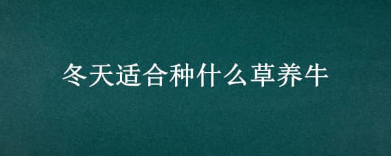 冬天适合种什么草养牛（冬天适合种什么草养牛仔）