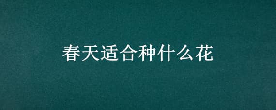 春天适合种什么花（春天适合种什么花苗）