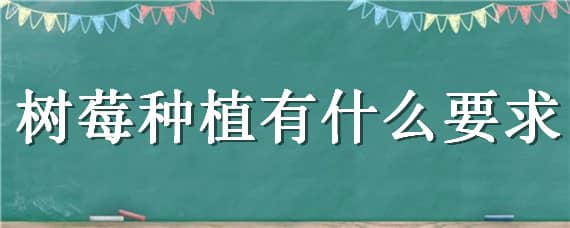 树莓种植有什么要求（树莓适合在什么地方种植）