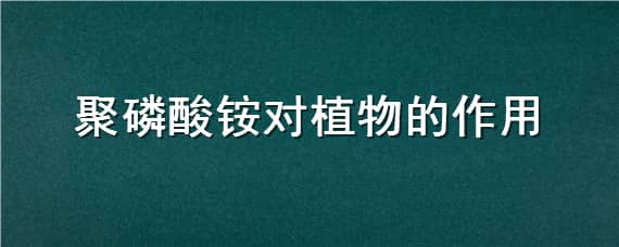 聚磷酸铵对植物的作用 硫酸铵对植物的作用