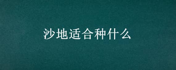 沙地适合种什么