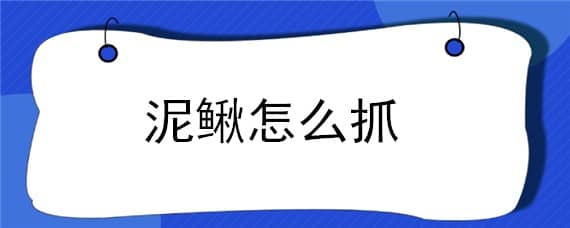 泥鳅怎么抓（野外泥鳅怎么抓）