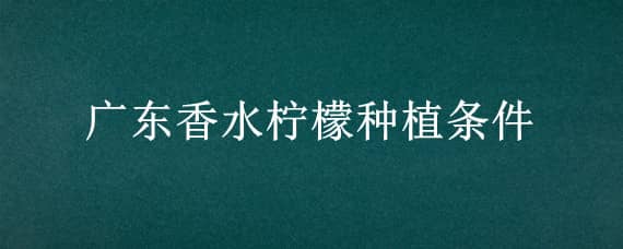 广东香水柠檬种植条件