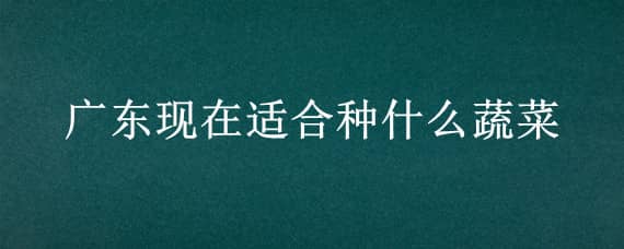 广东现在适合种什么蔬菜 广东现在适合种什么蔬菜和水果