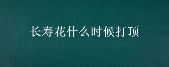 长寿花什么时候打顶 长寿花什么时侯打顶