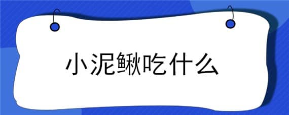 小泥鳅吃什么 小泥鳅吃什么东西长大的