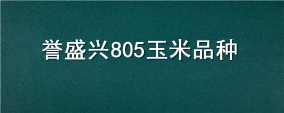 誉盛兴805玉米品种