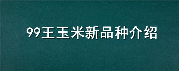 99王玉米新品种介绍