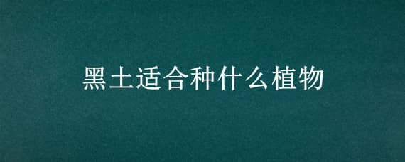 黑土适合种什么植物 黑色土适合种什么植物