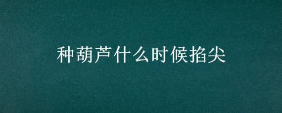 种葫芦什么时候掐尖 种的葫芦什么时候掐尖