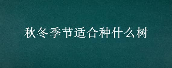 秋冬季节适合种什么树（秋冬季节适合种树吗）