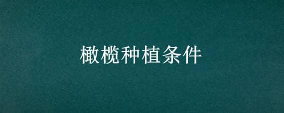 橄榄种植条件 橄榄种植条件及地区