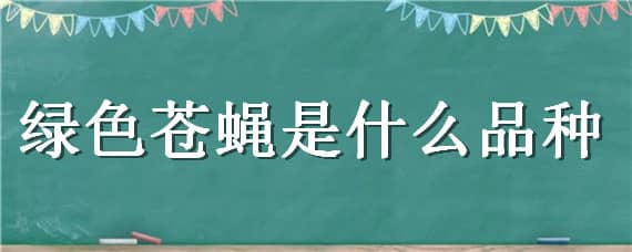 绿色苍蝇是什么品种（绿色苍蝇是什么品种的昆虫）