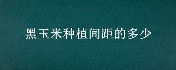 黑玉米种植间距的多少 两个品种的玉米种植时要间距多远