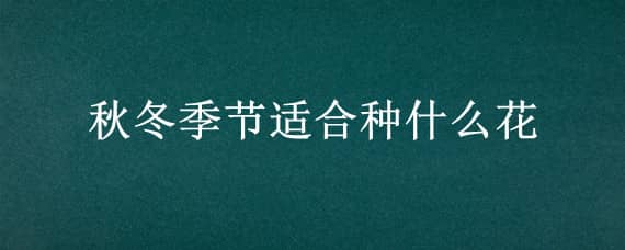 秋冬季节适合种什么花（秋冬季节适合种什么花室内）