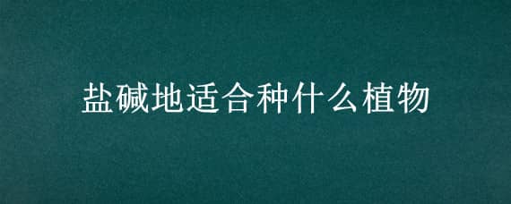 盐碱地适合种什么植物 盐碱地适合种什么植物橄榄