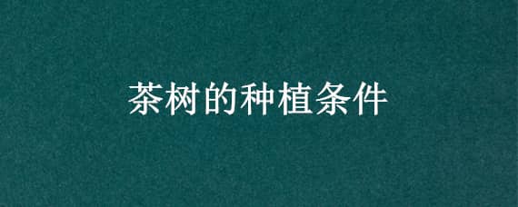 茶树的种植条件 茶树的种植条件和方法