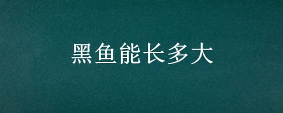 黑鱼能长多大 家养黑鱼能长多大