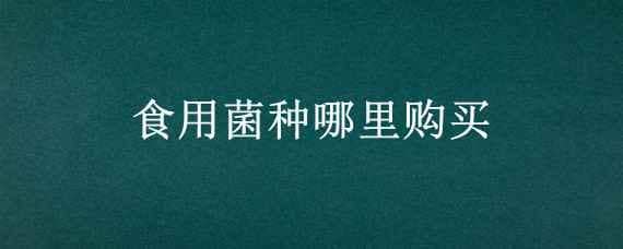 食用菌种哪里购买