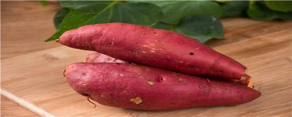 红薯适合什么土壤 红薯适合什么土壤种植