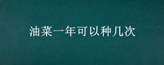 油菜一年可以种几次（油菜一年可以种几茬）