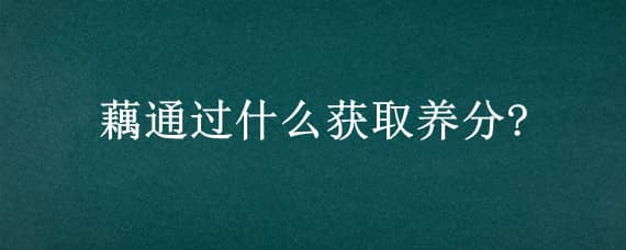 藕通过什么获取养分? 藕通过什么获取养分藕丝还是藕皮蚂蚁庄园