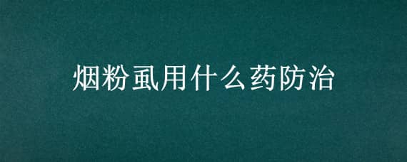 烟粉虱用什么药防治 烟粉虱的危害及防治方法