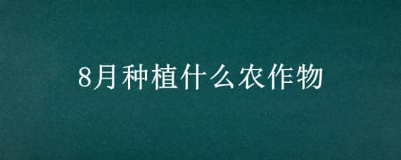 8月种植什么农作物