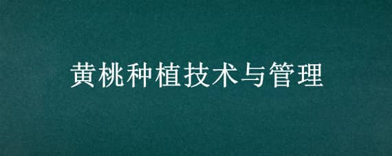 黄桃种植技术与管理（黄桃种植技术与管理视频）