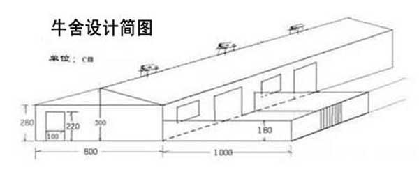 养牛场设计图(整体图)