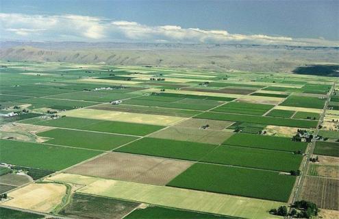 农业 模式 发展趋势