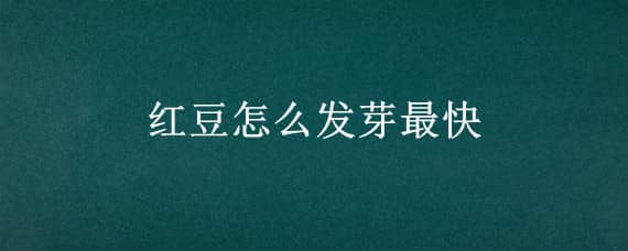 红豆怎么发芽最快（红豆芽怎么发最快又好）