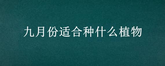 九月份适合种什么植物 九月份适合种什么植物和花