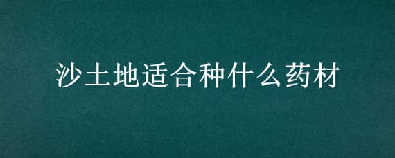 沙土地适合种什么药材