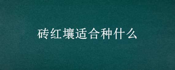 砖红壤适合种什么