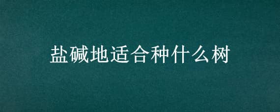 盐碱地适合种什么树（盐碱地适合种什么树好）