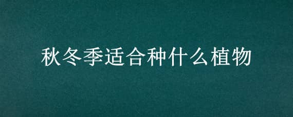 秋冬季适合种什么植物（秋冬季适合种什么植物好）