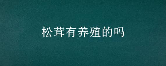 松茸有养殖的吗（松茸有养殖的吗松茸怎么个吃法）