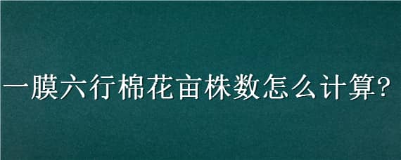 一膜六行棉花亩株数怎么计算