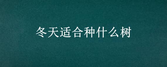 冬天适合种什么树 冬天适合种什么树苗抗旱扛掩