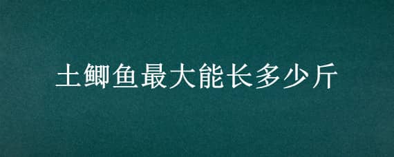 土鲫鱼最大能长多少斤 土鲫鱼最大能长多大