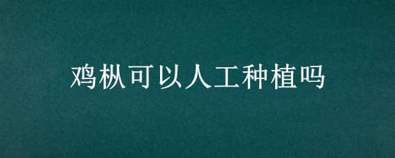 鸡枞可以人工种植吗 鸡枞可以人工栽培吗