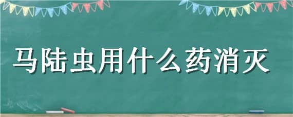 马陆虫用什么药消灭