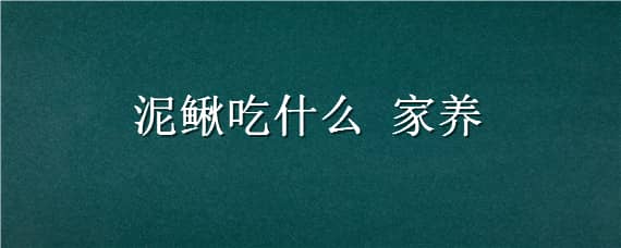 泥鳅吃什么家养