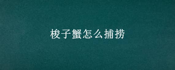 梭子蟹怎么捕捞（梭子蟹海捕）