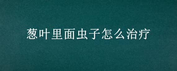 葱叶里面虫子怎么治疗