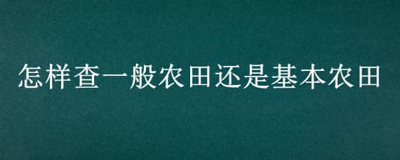 怎样查一般农田还是基本农田 怎样查一般农田还是基本农田啊