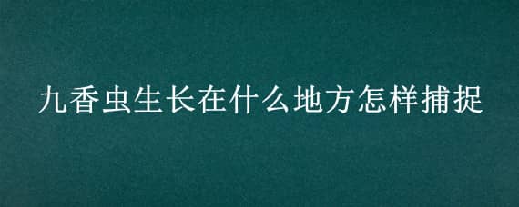 九香虫生长在什么地方怎样捕捉