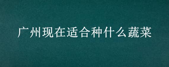 广州现在适合种什么蔬菜（广州现在适合种什么蔬菜水果）