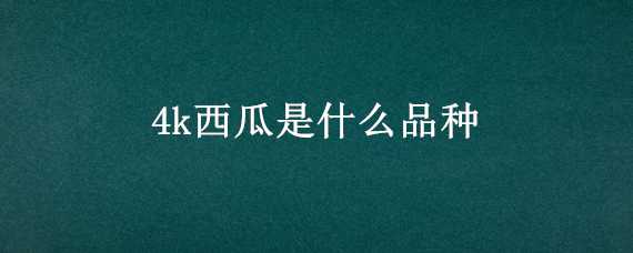 4k西瓜是什么品种（4k西瓜图片及价格）